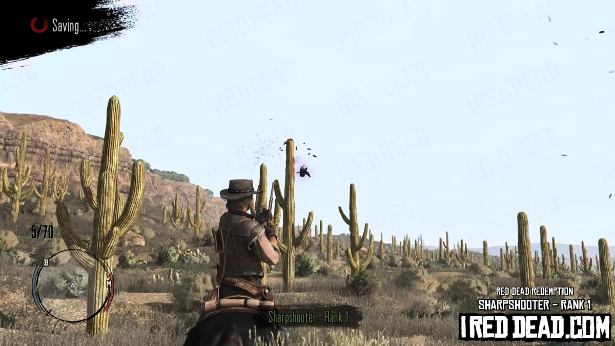 Red Dead Redemption Sharpshooter Bird