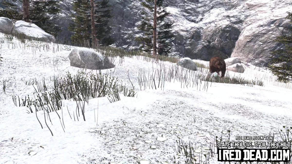 Red Dead Redemption Spare The Love Spoil The Child 12