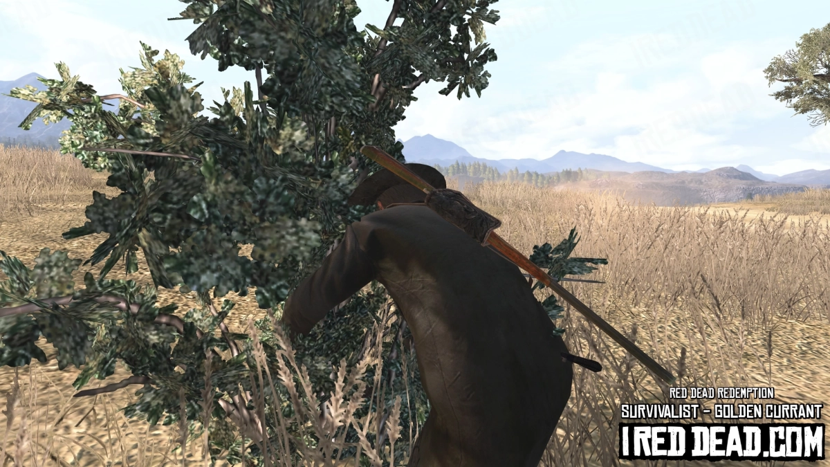 Red Dead Redemption Survivalist Golden Currant