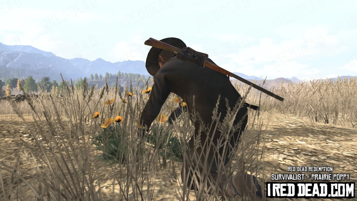 Red Dead Redemption Survivalist Prairie Poppy