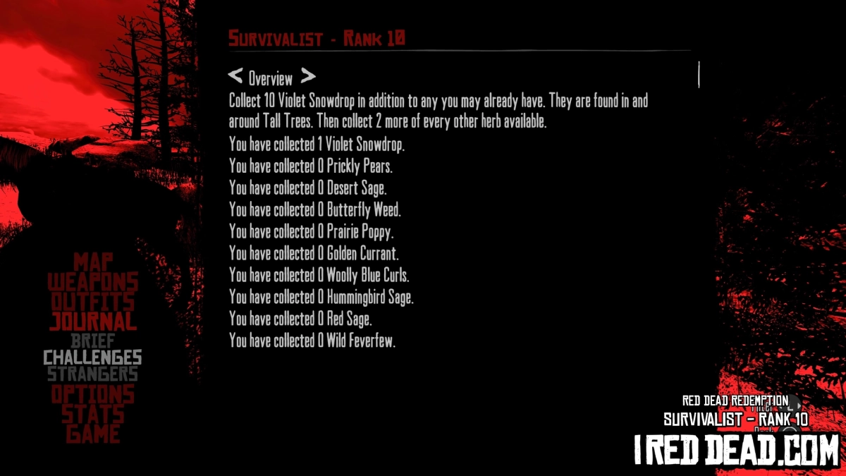 Red Dead Redemption Survivalist Survivalist Rank 10 Menu