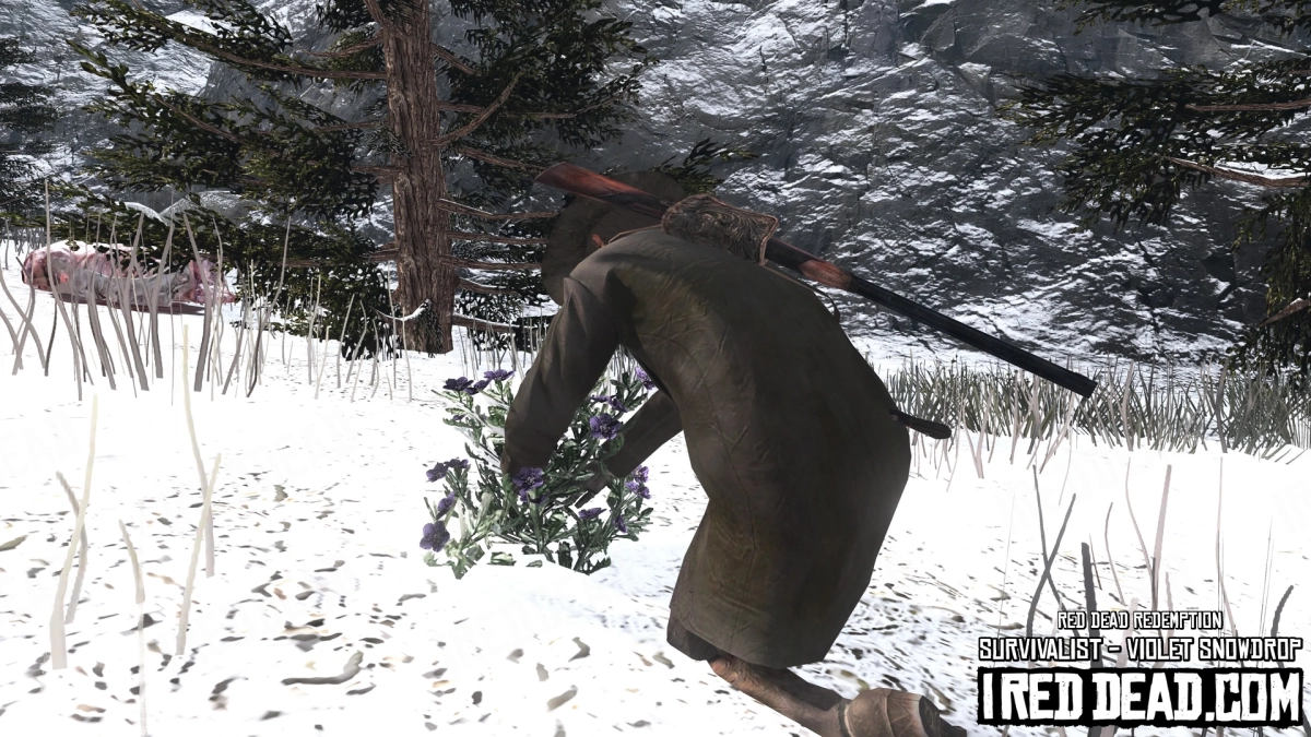 Red Dead Redemption Survivalist Violet Snowdrop