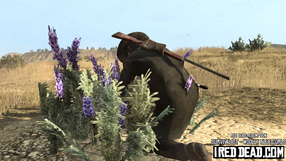 Red Dead Redemption Survivalist Woolly Blue Curls