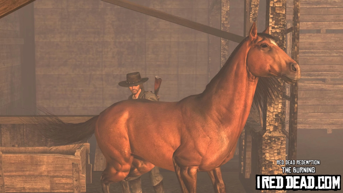 Red Dead Redemption The Burning 35