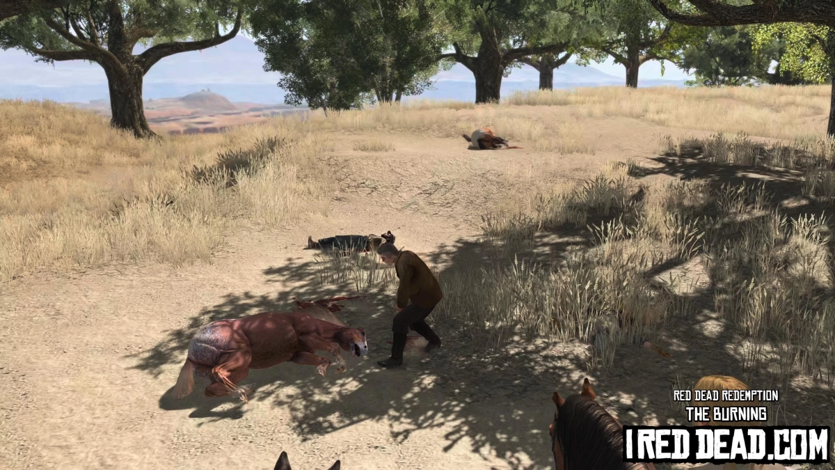 Red Dead Redemption The Burning 7