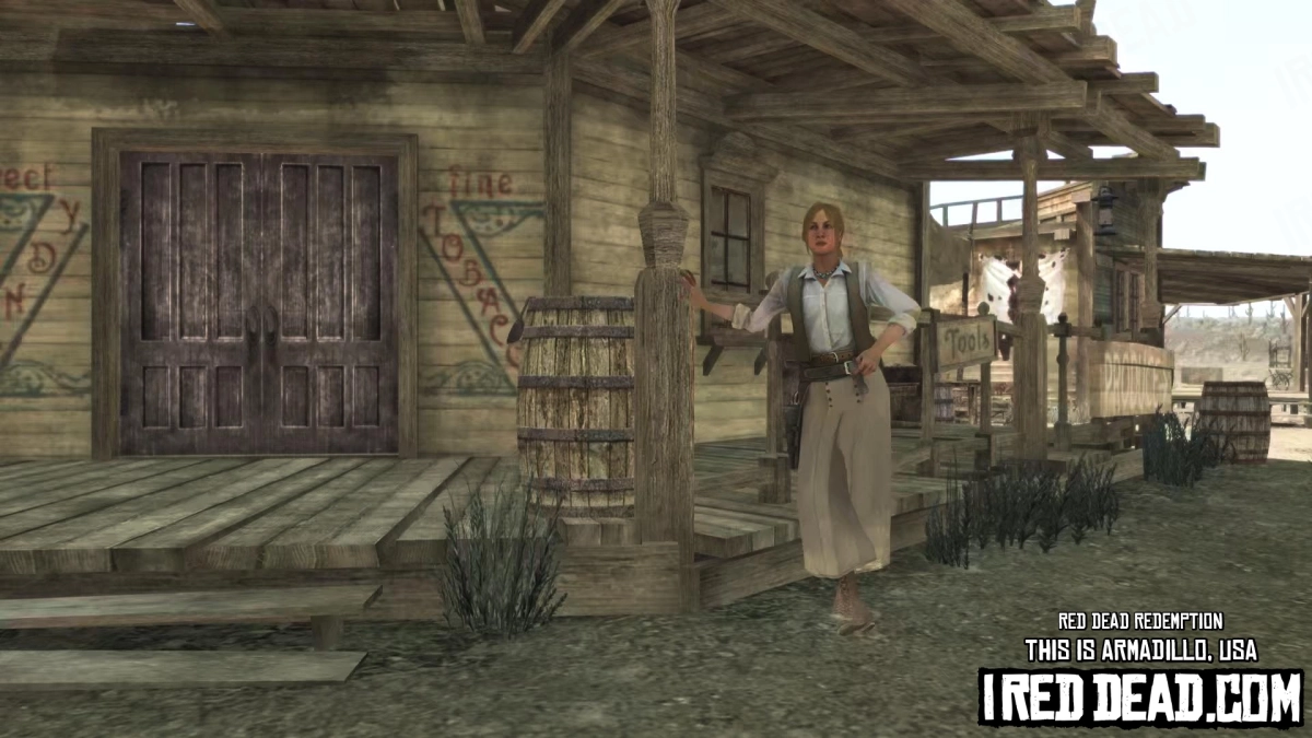 Red Dead Redemption This Is Armadillo, USA 24