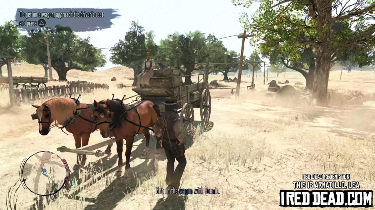 Red Dead Redemption This Is Armadillo, USA 5