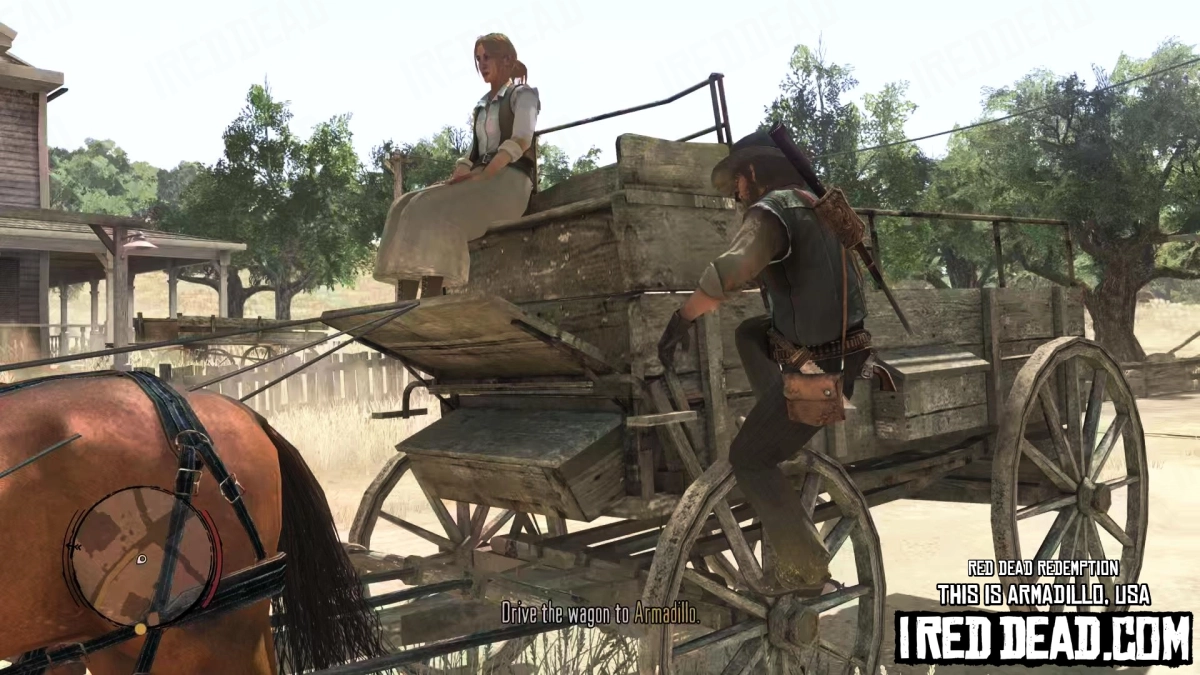 Red Dead Redemption This Is Armadillo, USA 6