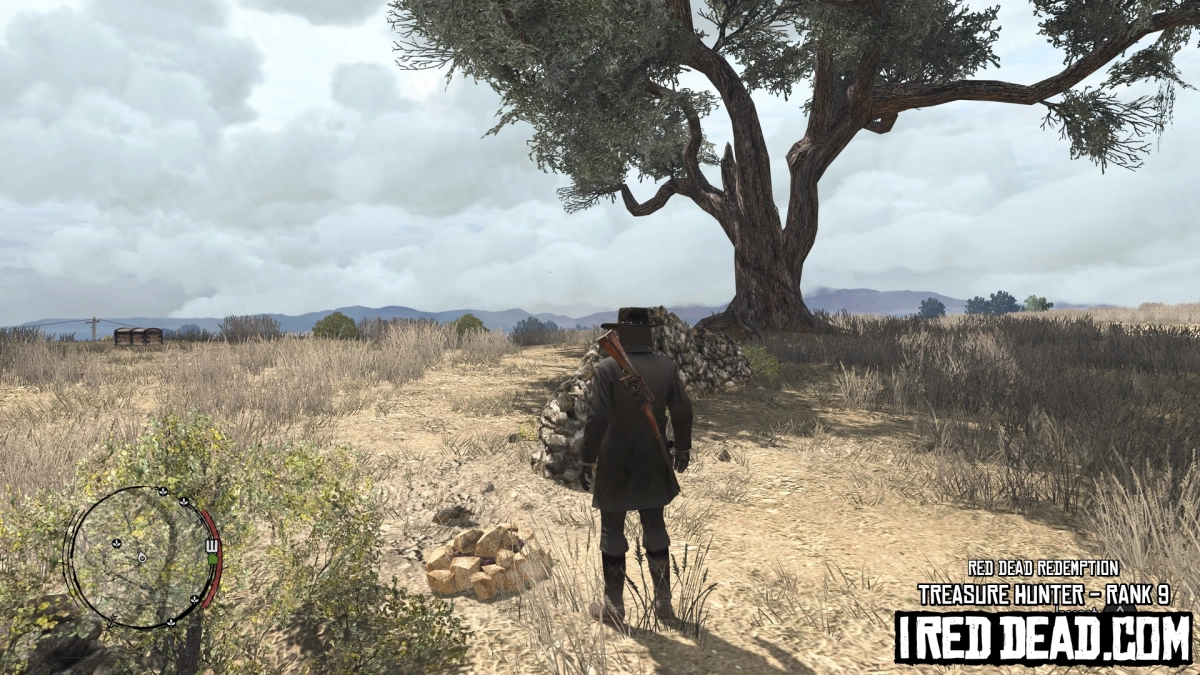 Red Dead Redemption Treasure Hunter Rank 9 Rocks