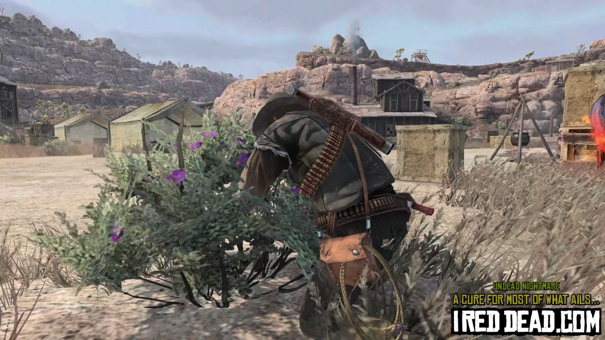 Red Dead Redemption Undead Nightmare A Cure For Most Of What Ails You 17