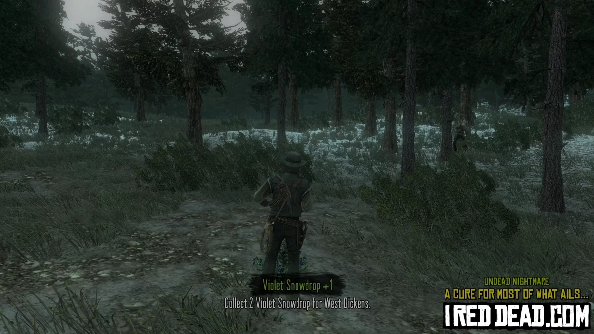 Red Dead Redemption Undead Nightmare A Cure For Most Of What Ails You 20