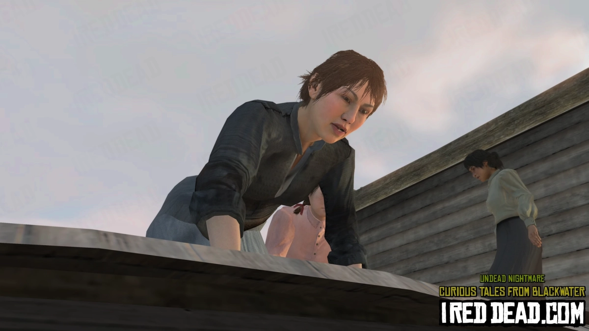 Red Dead Redemption Undead Nightmare Curious Tales From Blackwater 63