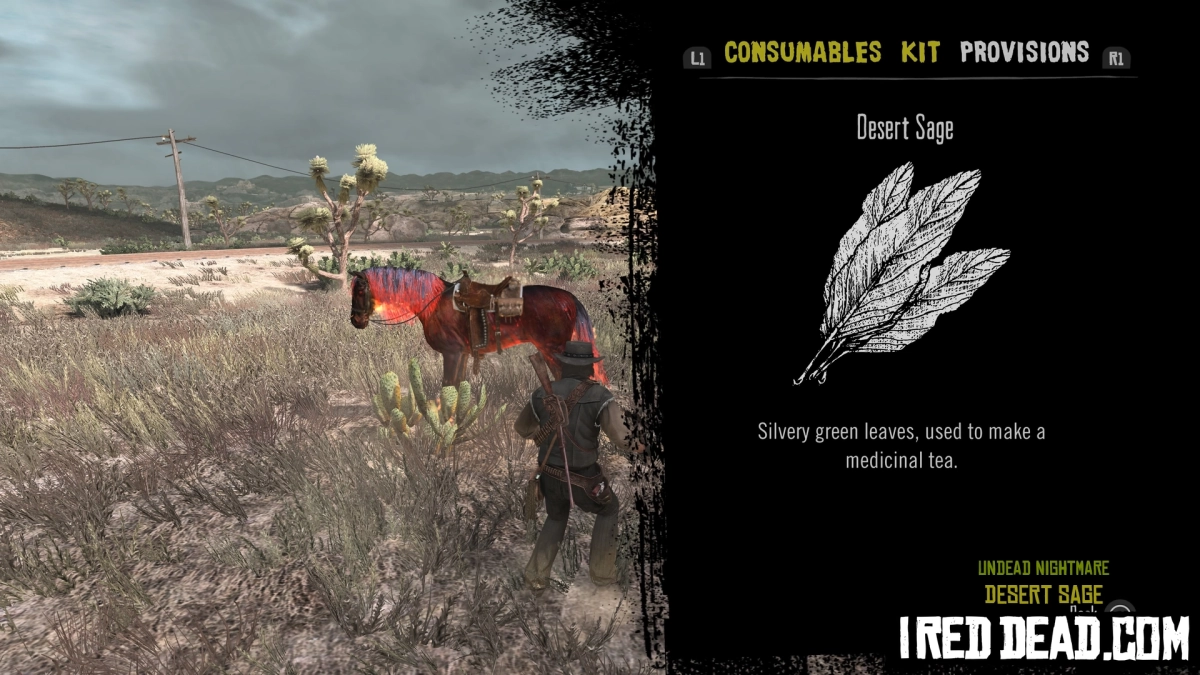 Red Dead Redemption Undead Nightmare Provisions Desert Sage