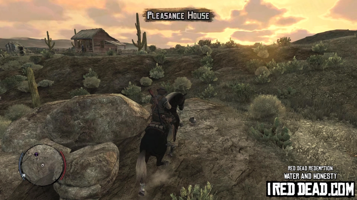 Red Dead Redemption Water And Honesty 9