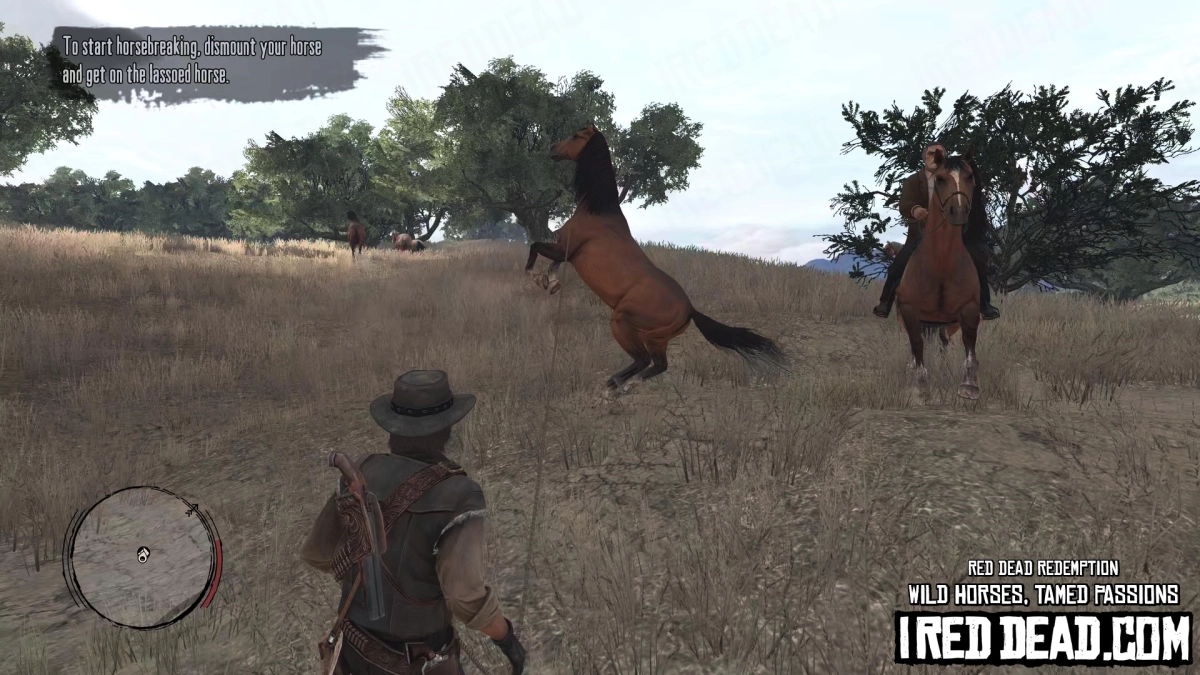 Red Dead Redemption Wild Horses, Tamed Passions 12