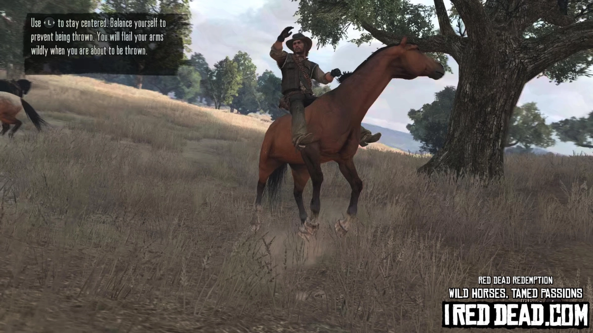 Red Dead Redemption Wild Horses, Tamed Passions 13