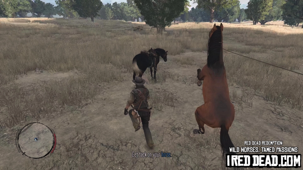 Red Dead Redemption Wild Horses, Tamed Passions 15