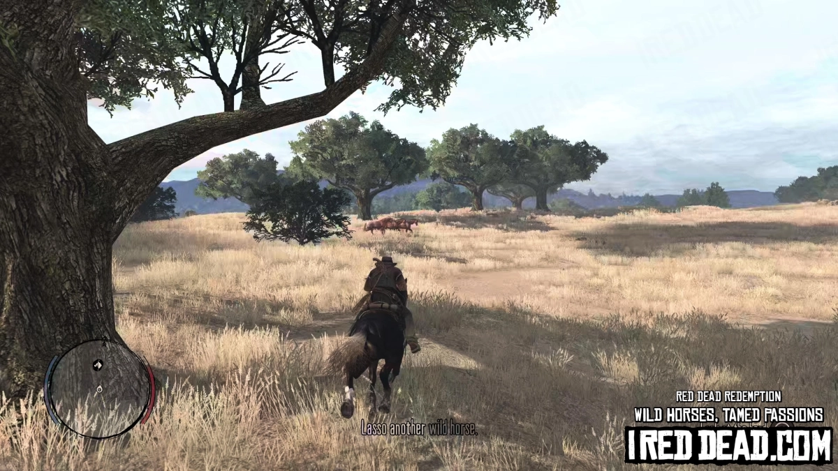 Red Dead Redemption Wild Horses, Tamed Passions 16