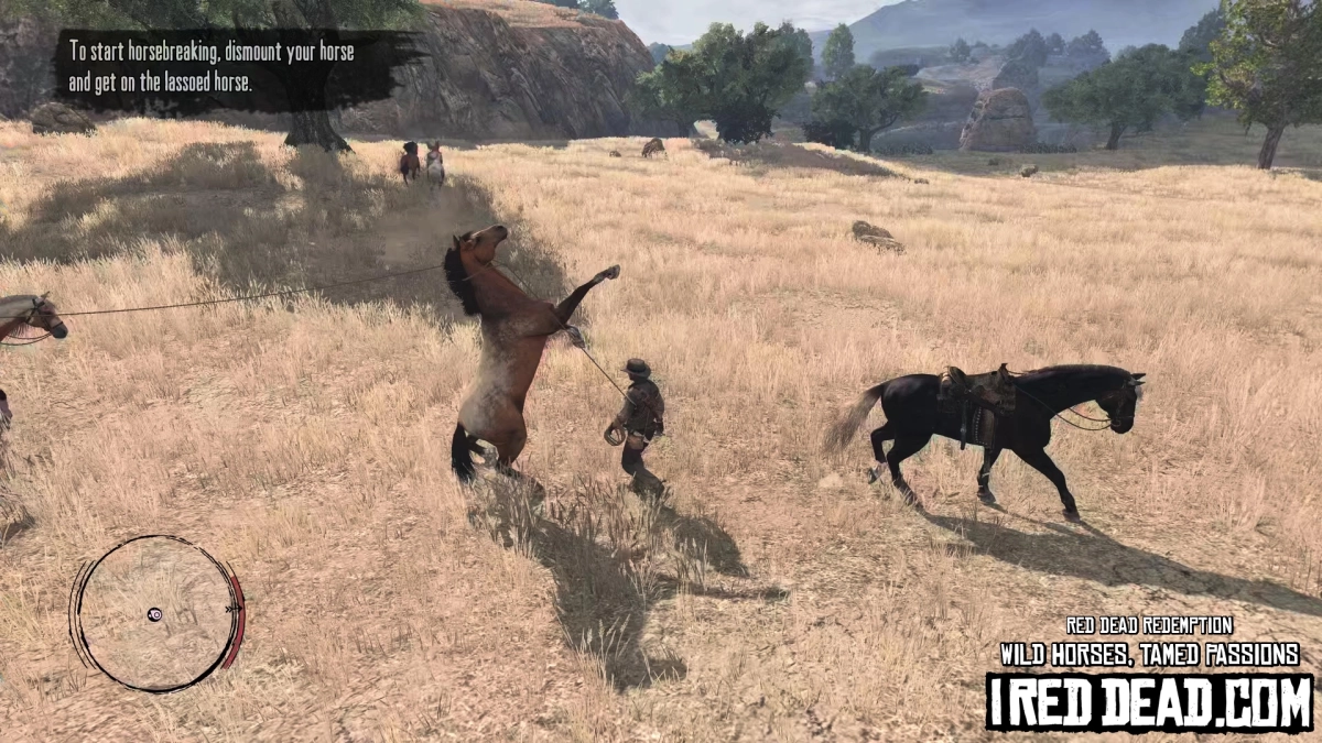 Red Dead Redemption Wild Horses, Tamed Passions 18
