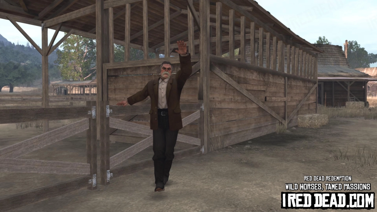 Red Dead Redemption Wild Horses, Tamed Passions 22