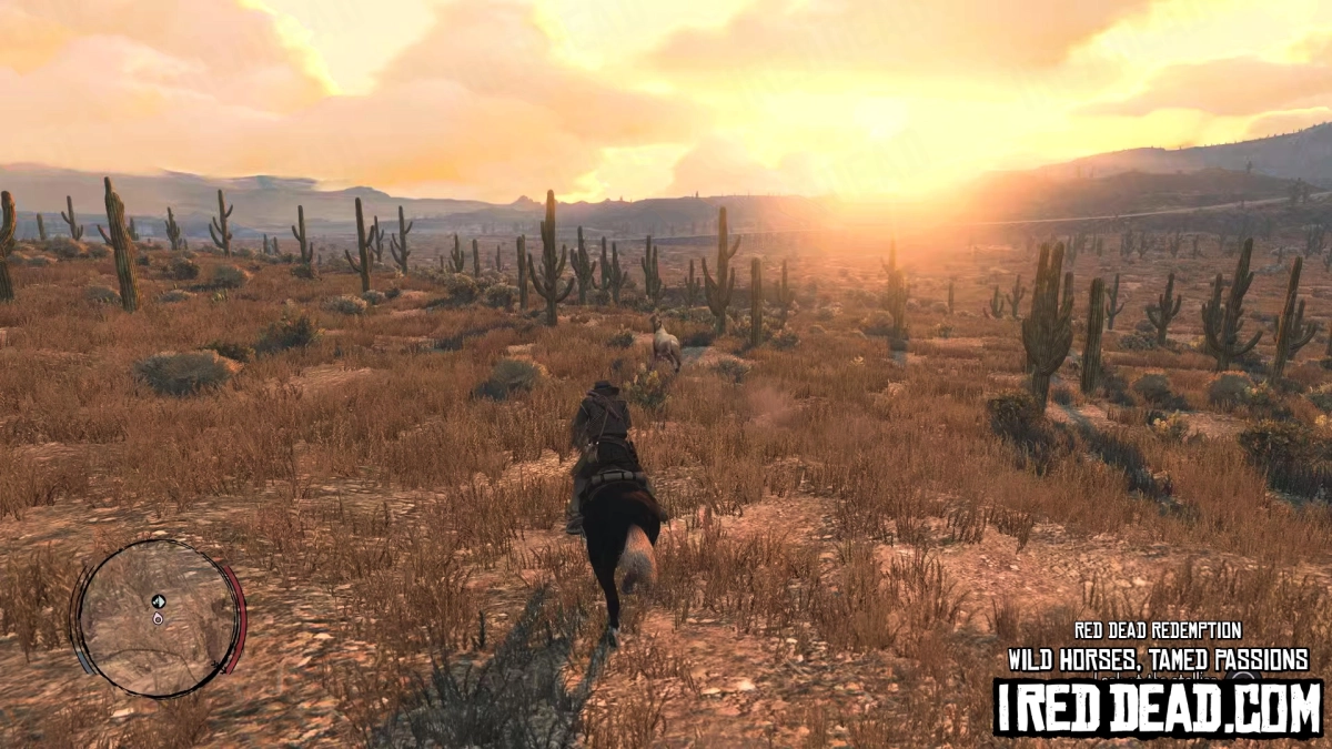 Red Dead Redemption Wild Horses, Tamed Passions 36