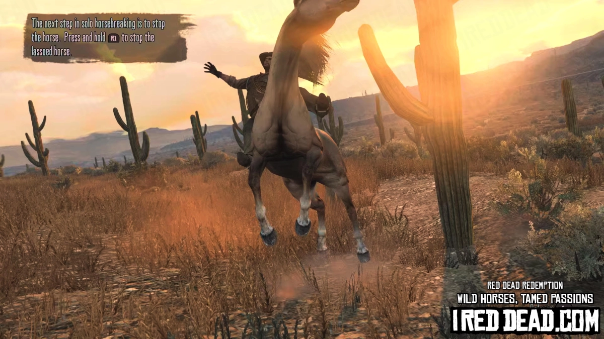 Red Dead Redemption Wild Horses, Tamed Passions 38
