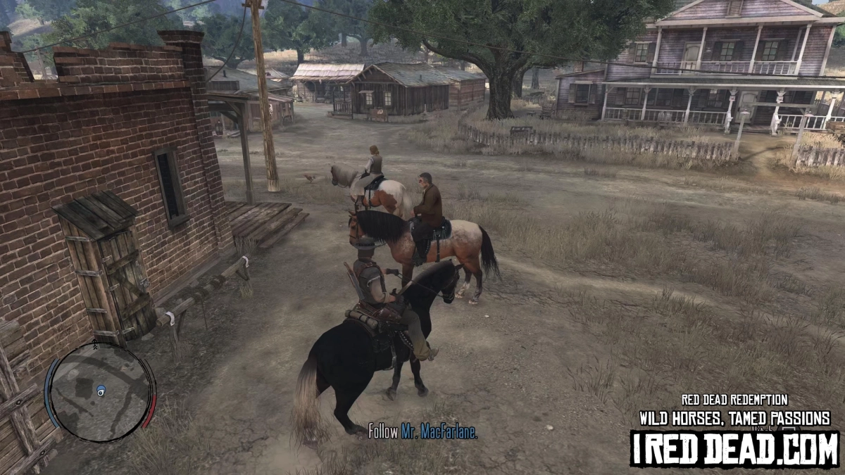 Red Dead Redemption Wild Horses, Tamed Passions 8
