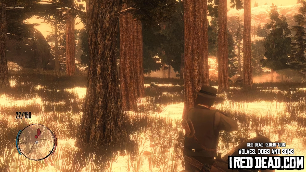 Red Dead Redemption Wolves Dogs And Sons 10