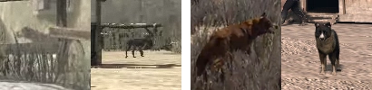Animal-dog3extras
