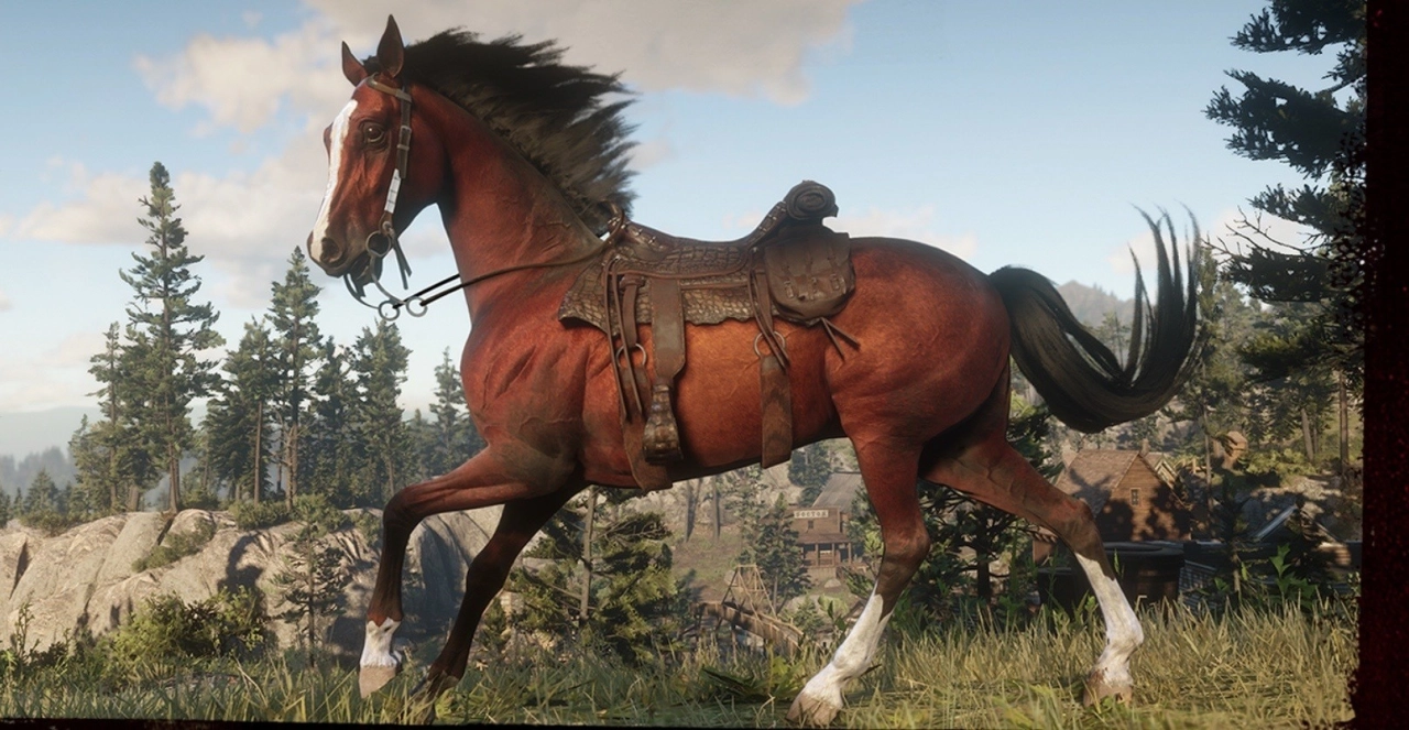 Arabian Horse &amp; Alligator Skin Saddle