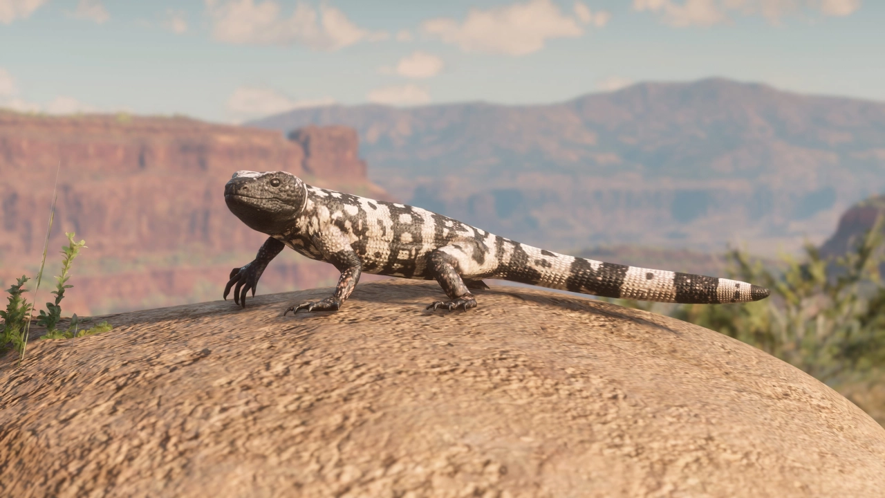Banded Gila Monster