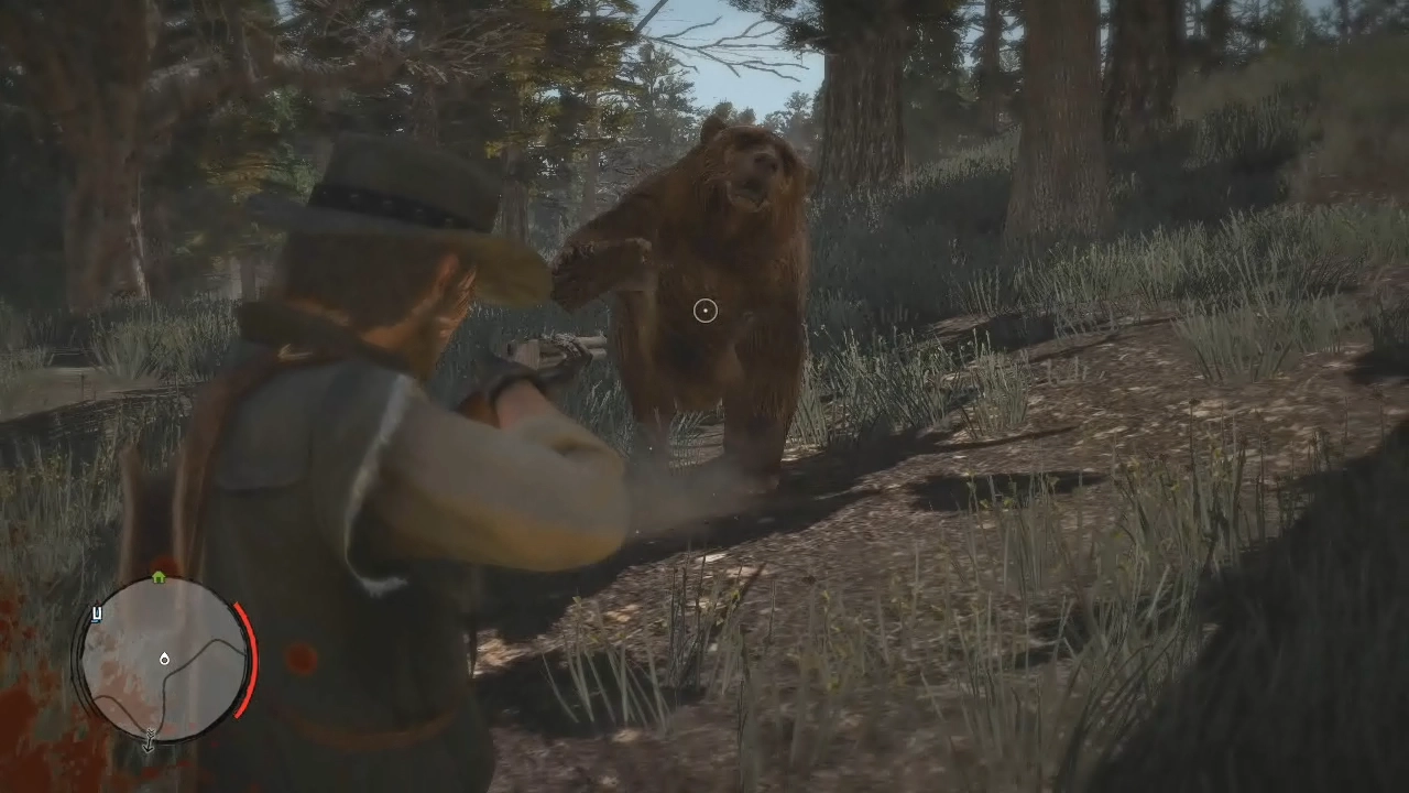 Bearly Legal