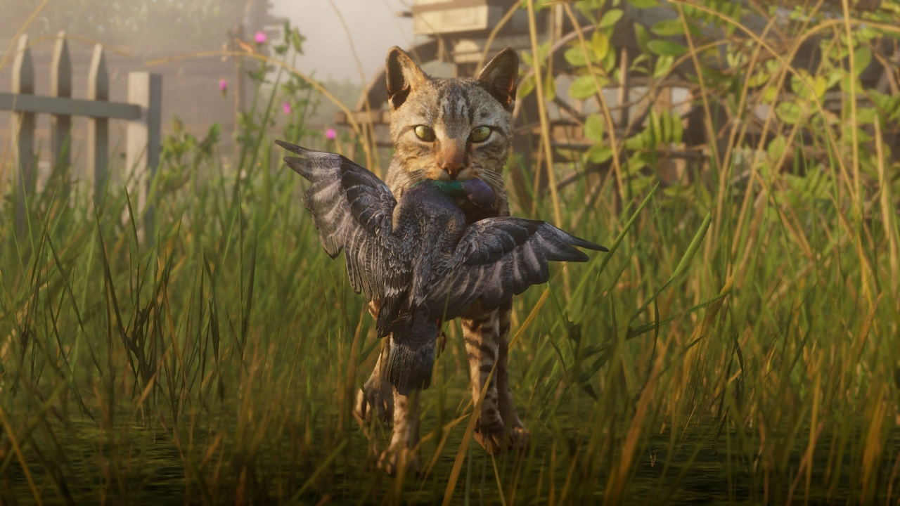 Cat with pigeon