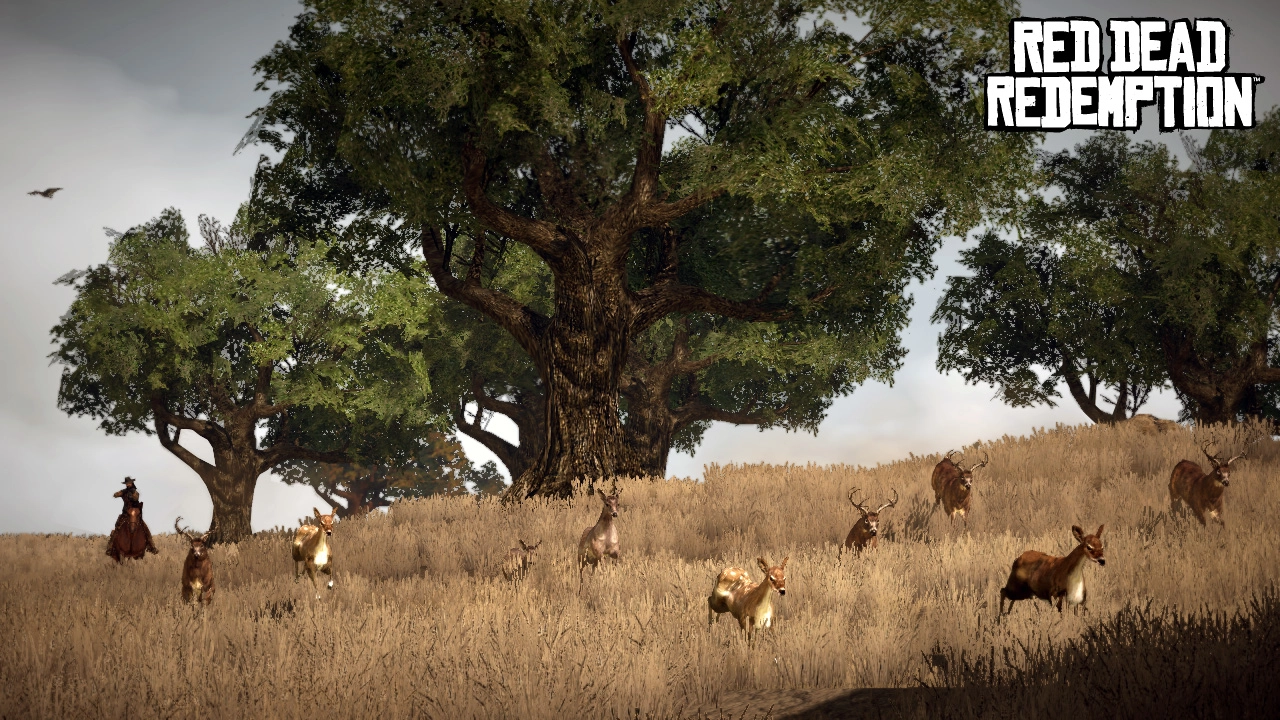 Deer by Hennigan's Stead