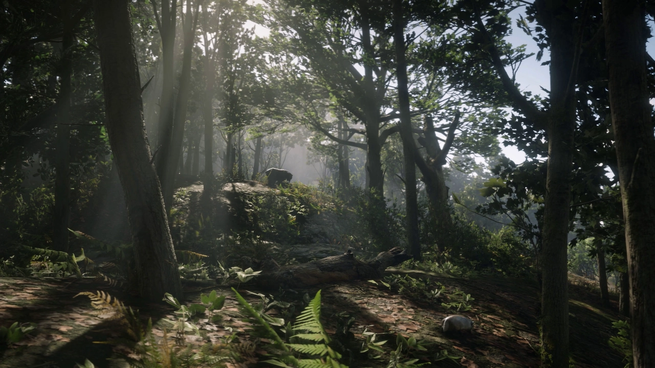 Dense forests