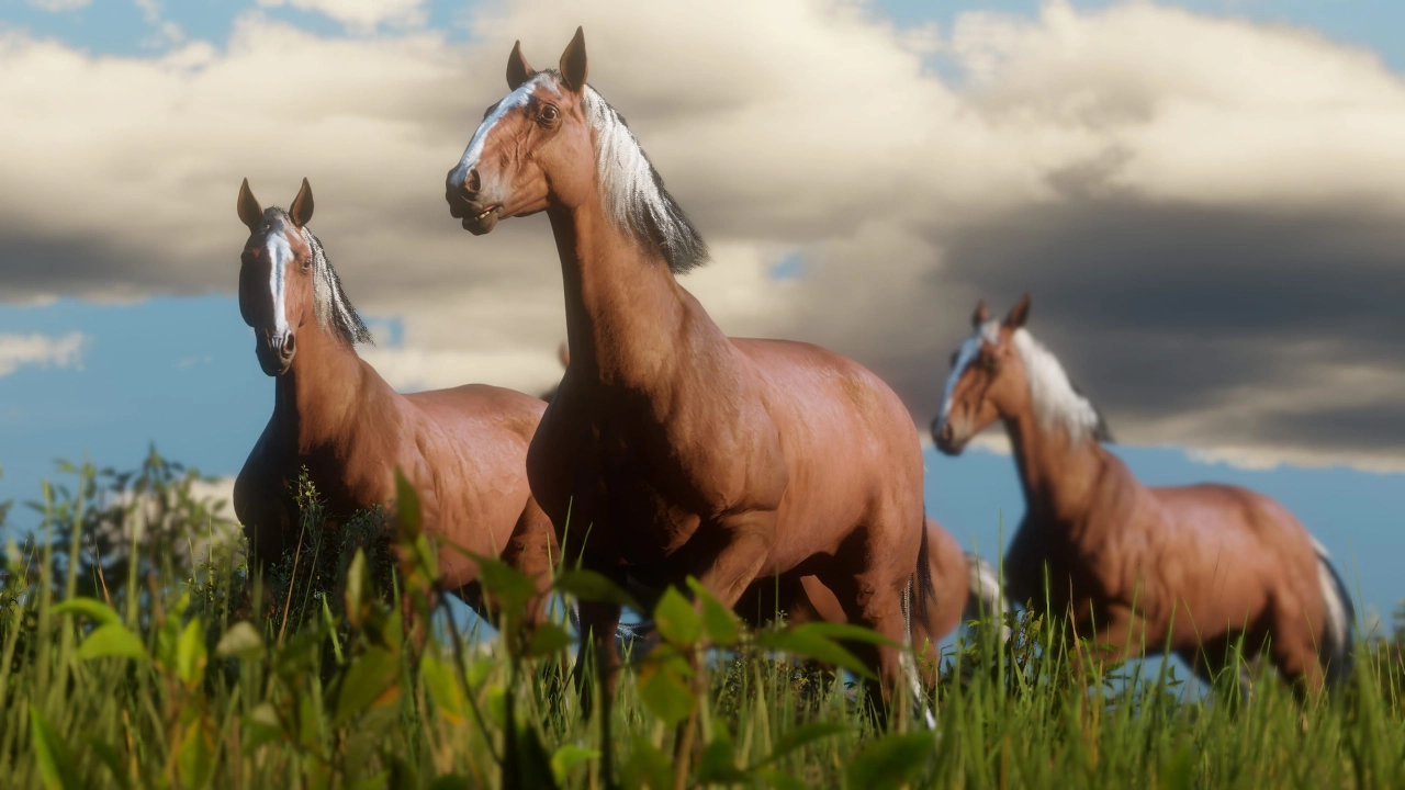 Hungarian Half-Breeds
