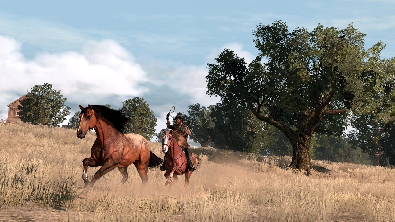 Lasso a new horse 