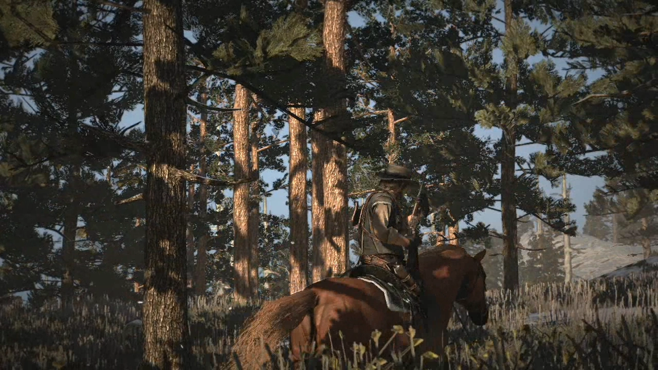 Out In The Woods