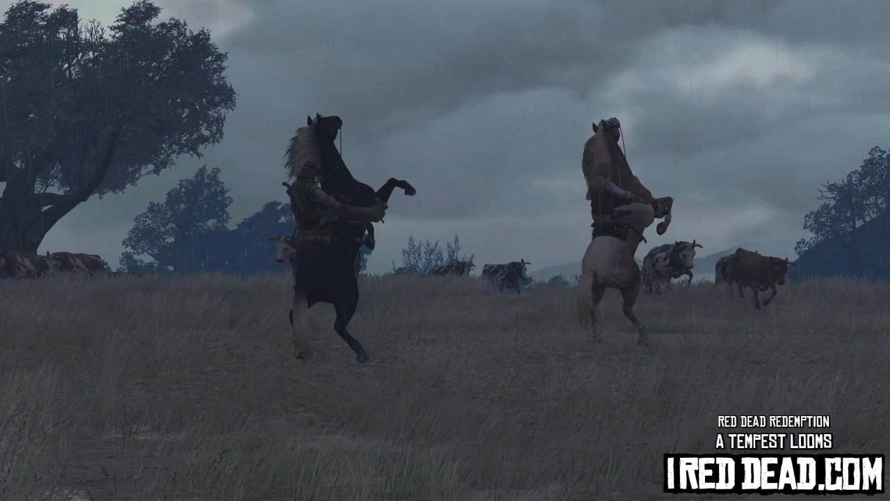 Red Dead Redemption A Tempest Looms 11