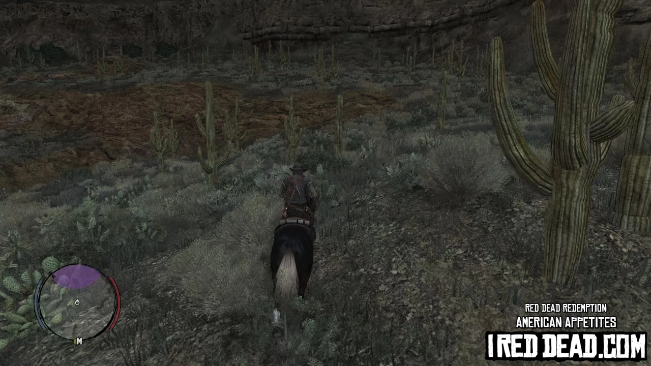 Red Dead Redemption American Appetites 6