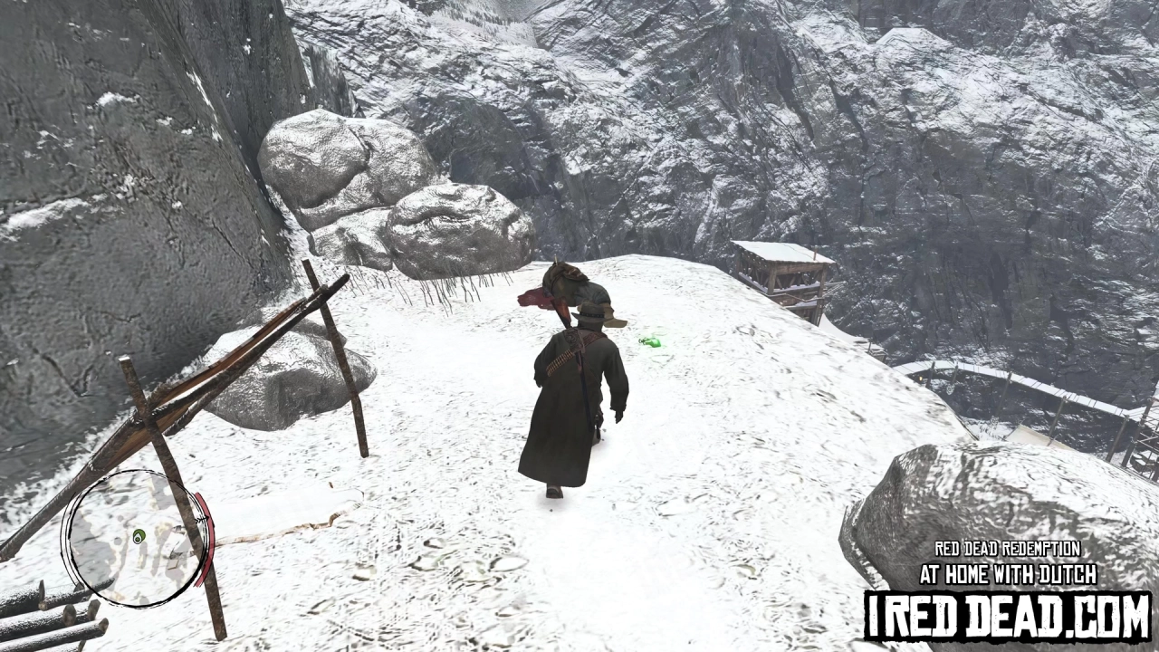 Red Dead Redemption At Home With Dutch 51