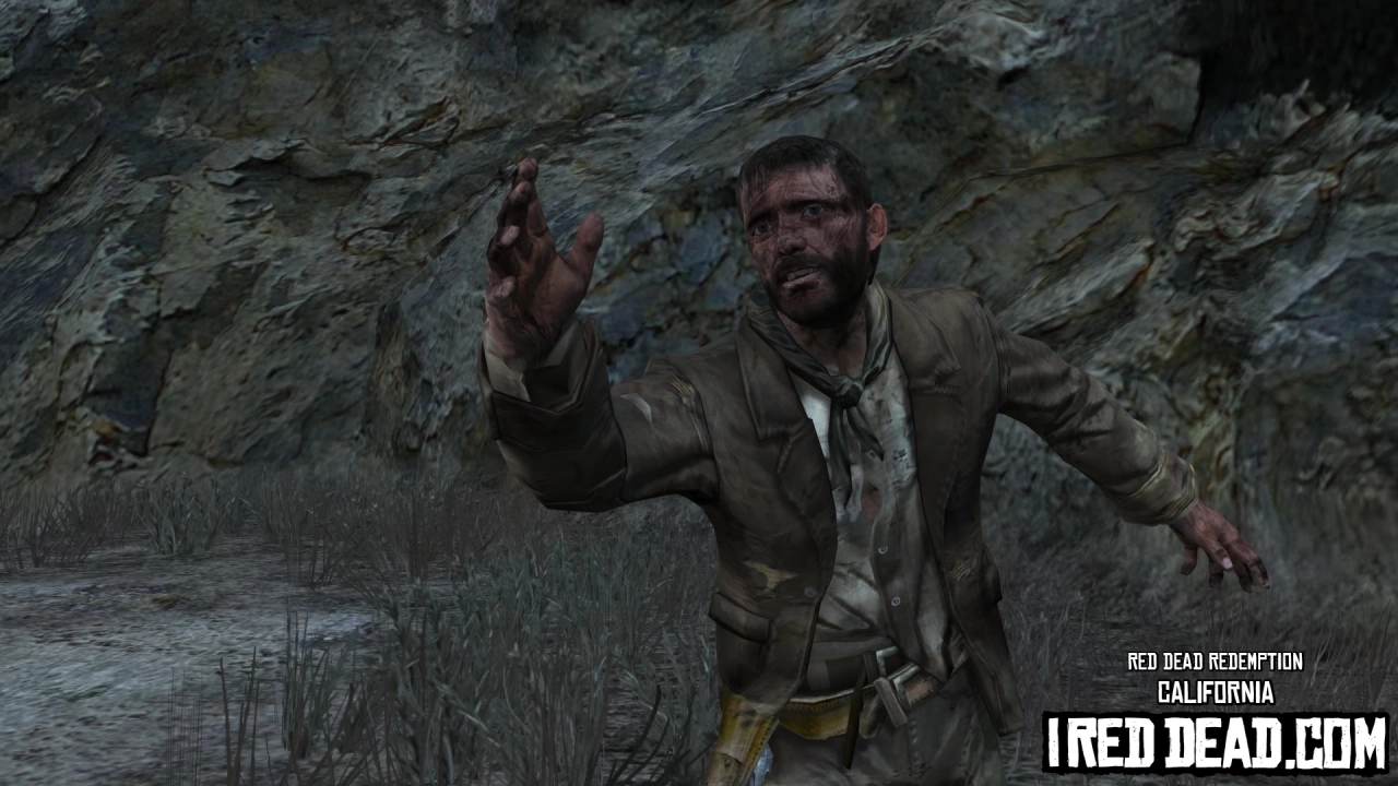Red Dead Redemption California 13