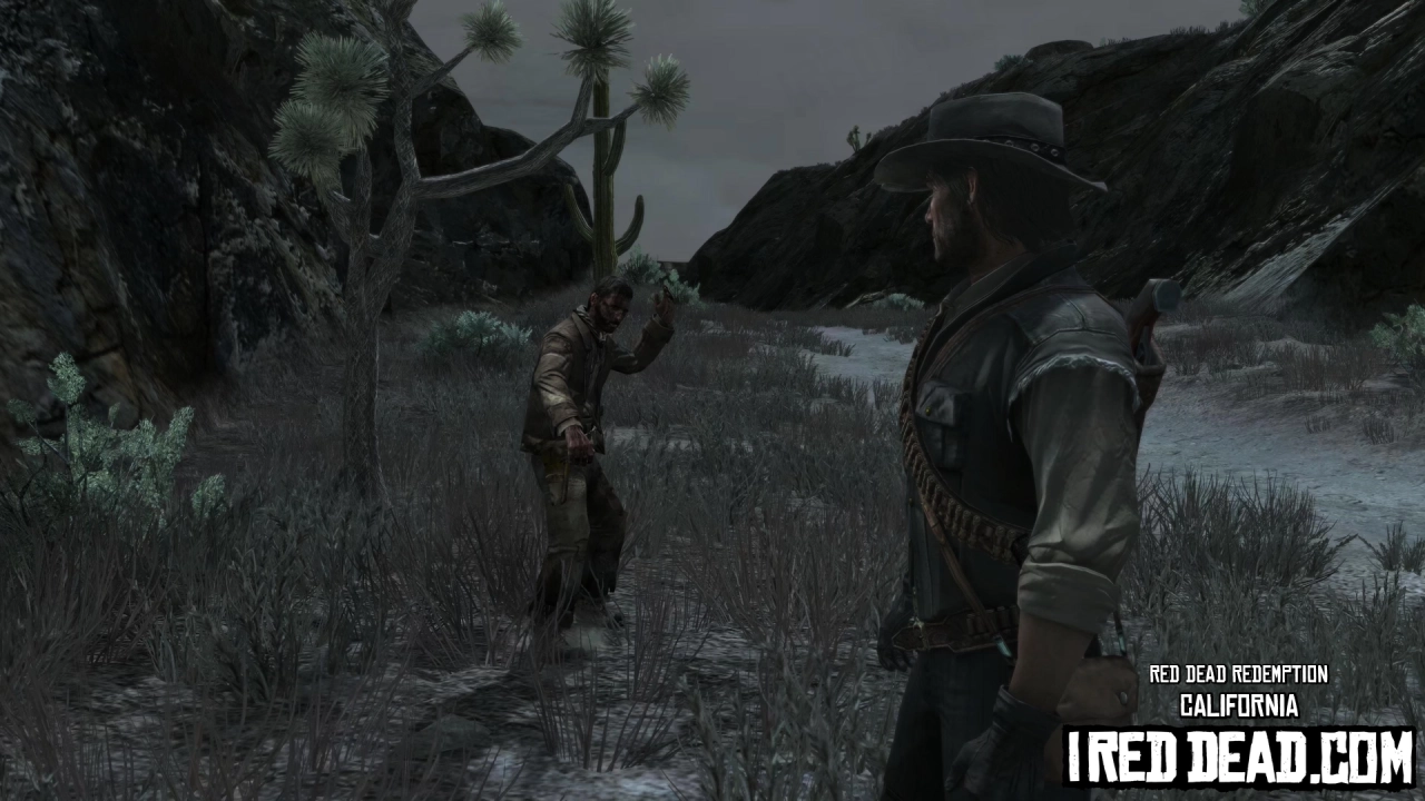 Red Dead Redemption California 14