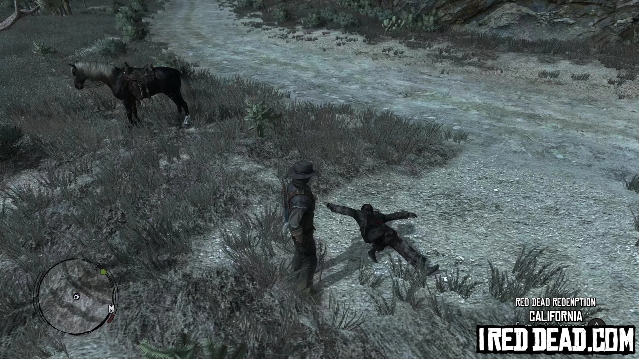 Red Dead Redemption California 18