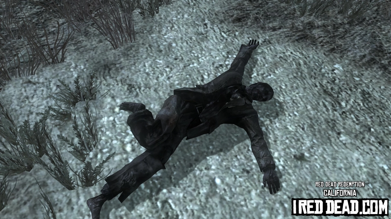 Red Dead Redemption California 19