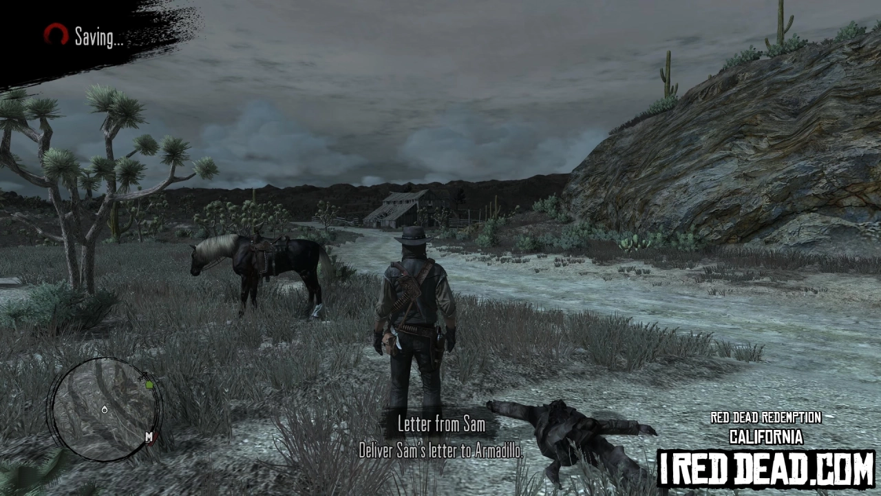 Red Dead Redemption California 21