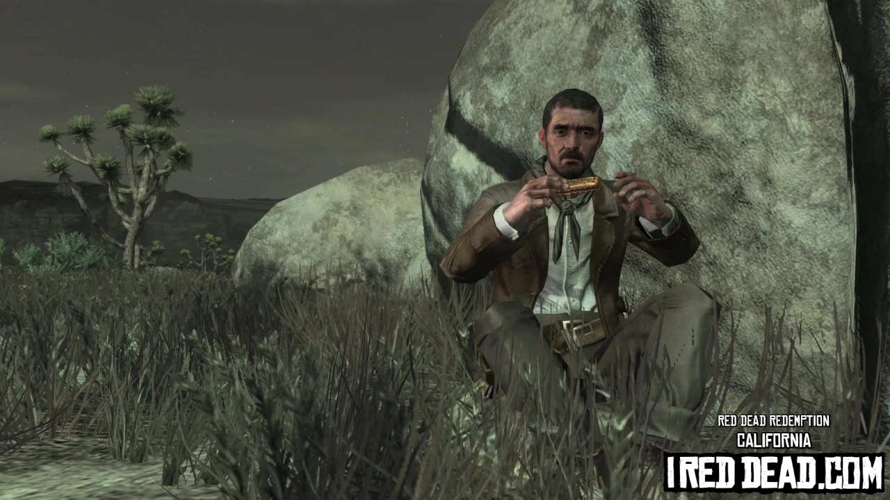 Red Dead Redemption California 3