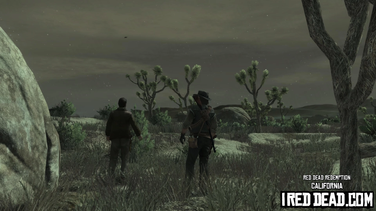 Red Dead Redemption California 5