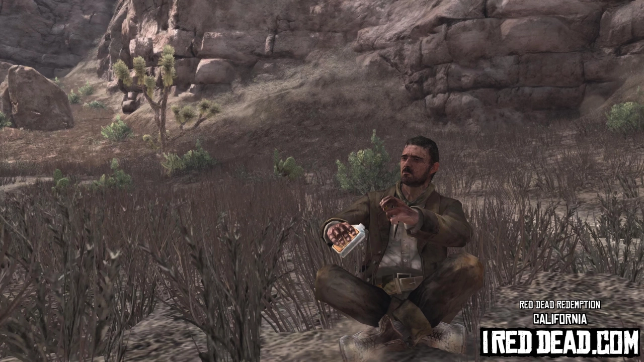 Red Dead Redemption California 8
