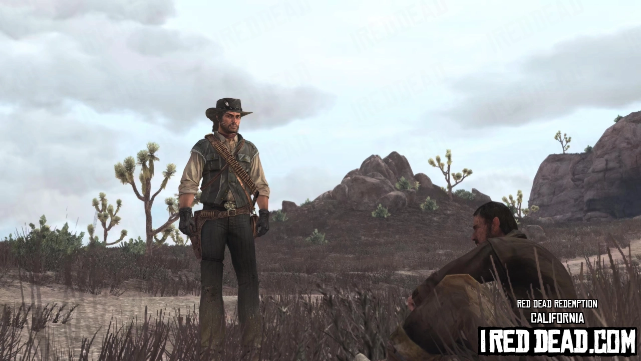 Red Dead Redemption California 9
